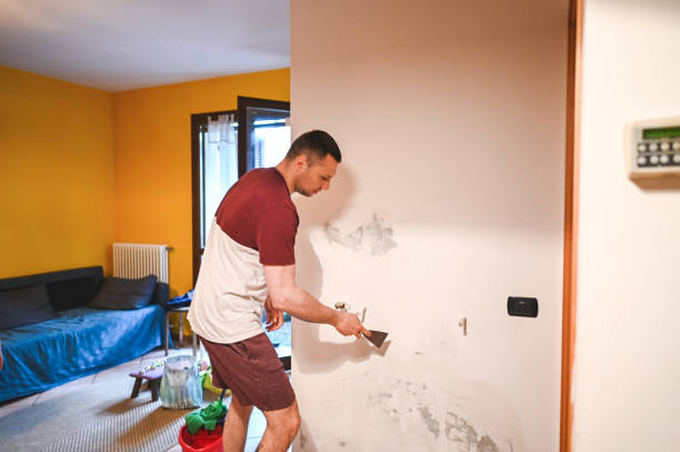 Best Local Mold Removal Service  in Wren, AR